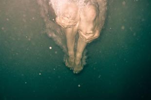 Wye Oak - Civilian